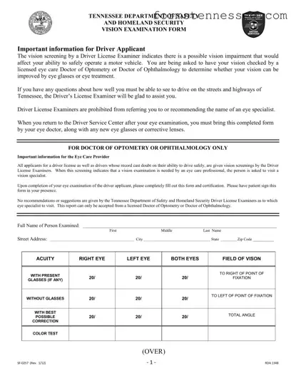 Blank Tennessee Drivers License Template